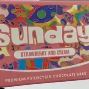 Sunday Strawberry and Cream Mushroom Chocolate Bar with rich chocolate, fresh strawberries, and premium mushrooms, offering a gourmet and indulgent treat