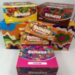 Unwrapped Sunday Bars Chocolate 10 Bars showcasing rich chocolate with visible mushroom inclusions
