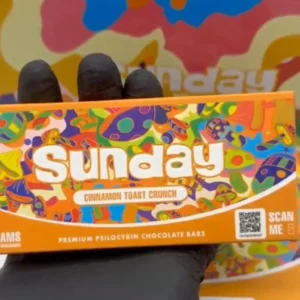 Sunday Cinnamon Mushroom Chocolate Bar – premium dark chocolate infused with cinnamon and functional mushrooms