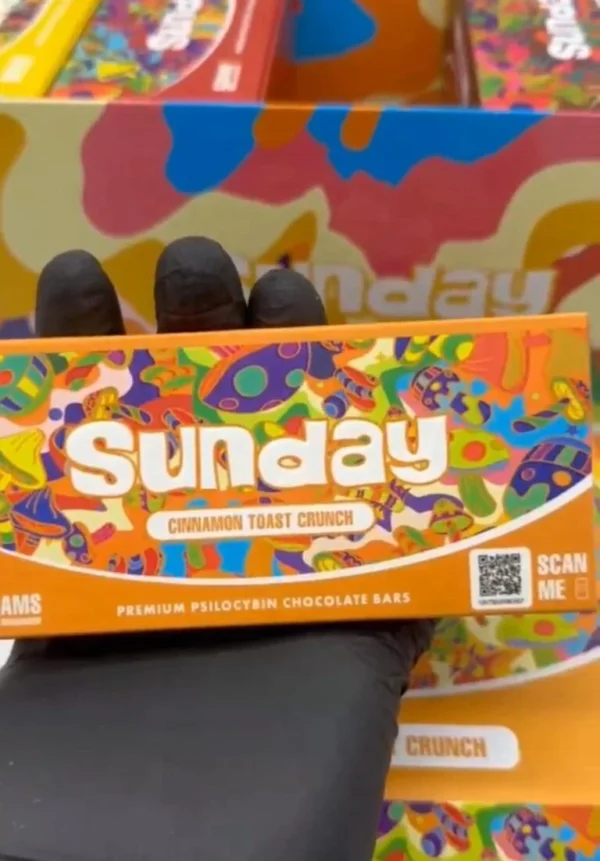 Sunday Cinnamon Mushroom Chocolate Bar – premium dark chocolate infused with cinnamon and functional mushrooms